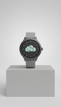 Smartwatch with Brushed Metal Case